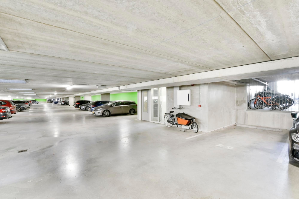 basement finishing